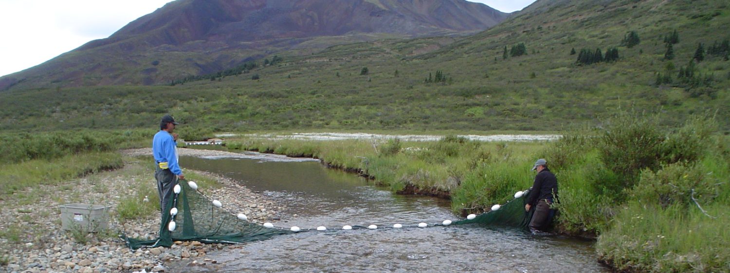 JBL Environmental Services Ltd.